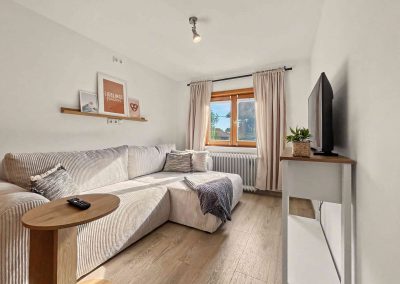 Sofabett und Wohnzimmer